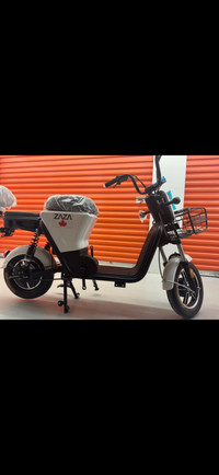 Vélo électrique / electric bike 