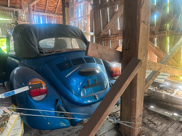 1974 VW Beetle Convertible Project – Solid, Complete, and Ready! in Classic Cars in Ottawa - Image 3