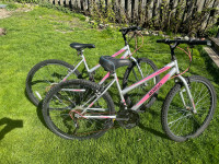 2 Movelo Algonquin bikes 