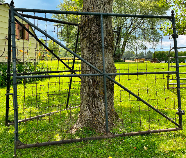 Steel Gates dans Terrasses et clôtures  à Région des lacs Kawartha