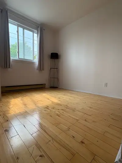 Chambre à louer