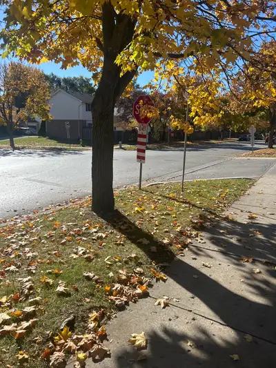 found key , View more