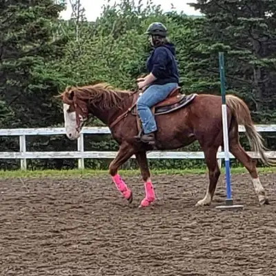 I’m gonna start this off with I am gonna be EXTREMELY picky… I’ve recently come to the conclusion I’...