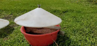 Automatic chicken waterer