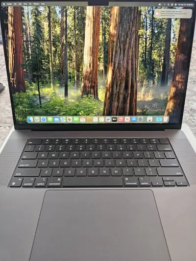 16 Inches MacBook Pro M4 Max 64GB/2TB - 100% Battery Health, View more