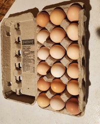Eggs for sale