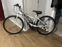 24” youth bike 