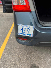 Mississauga taxi plate license 