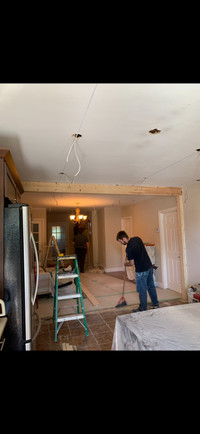 Interior Renovations , ( 37 years experience) 10% rebate for Apr