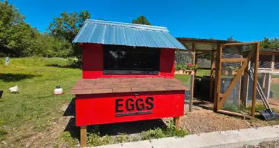 Dream Chicken Setup: 6'x6' Coop with 8'x6' Galvanized Run, View more