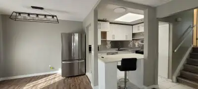 A Beautiful Renovated House or Rent