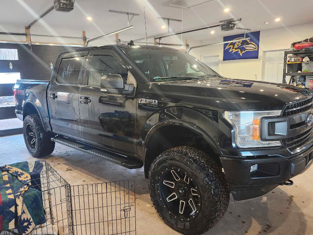 2018 Ford F150 Xlt  in Cars & Trucks in Truro - Image 2