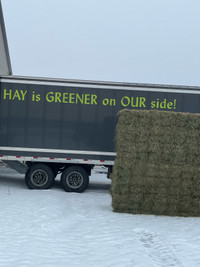  Premium hay for sale 
