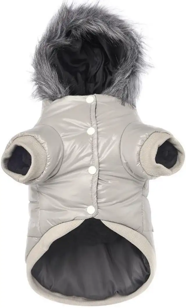 dog coat in Accessories in City of Toronto - Image 2