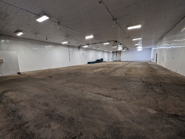 Affordable Warehouse Space in Commercial & Office Space for Rent in London - Image 3