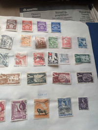 Collector stamps plus