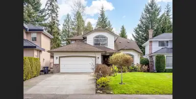 Beautiful house in Boundary Park. 5 bedrooms. Freshly painted and brand new stainless steel applianc...