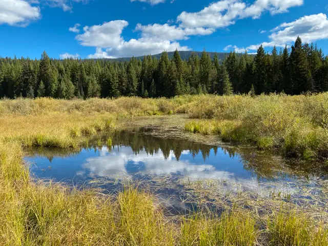 3% Financing; 15 Acreages- 1.3 to 6 acres, 25 Mins S of Kelowna63010224709251124