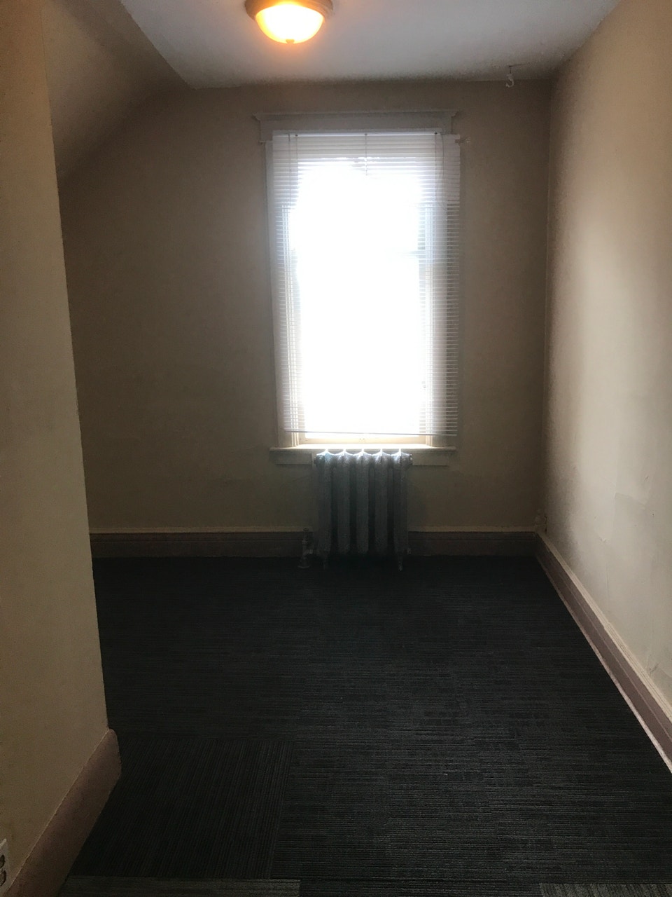 Larger 1BR c/w all the utilities in east downtown 2
