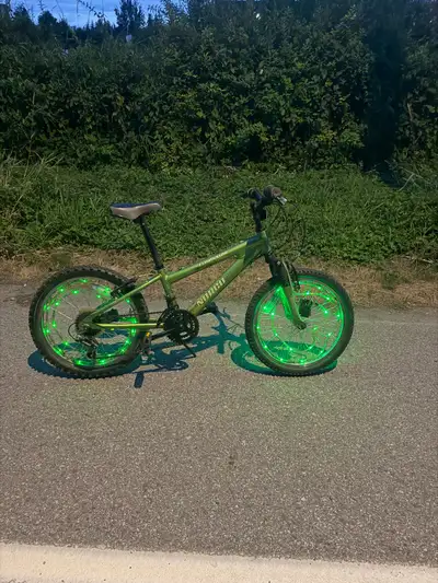 Norco Eliminator 20” kids mountain bike, View more