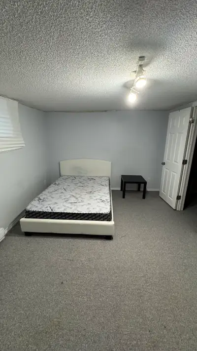 Spacious Basement for Rent!