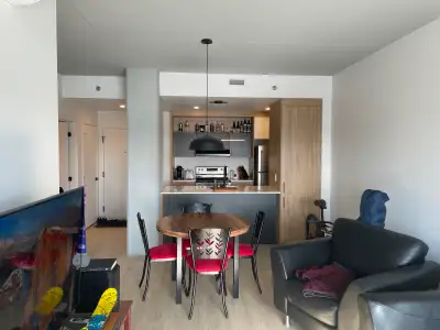 Appartement 3 1/2+ à Saint-Romuald près des ponts - Stationnement intérieur - Gym dans le bâtiment -...