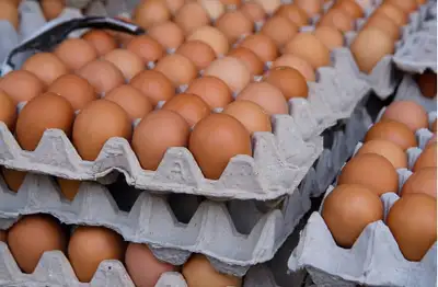 Brown eggs; Farm Fresh organic, View more