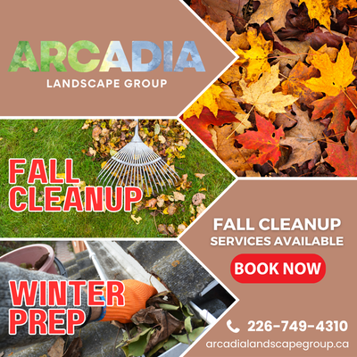 FALL CLEANUP – Leaves, Lawns & Property Refresh, View more