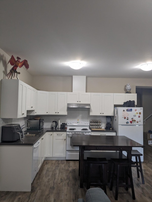 2 bedroom lower level suite in Nanaimo North Long Term Rentals