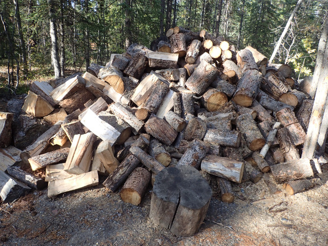 Firewood for sale! in BBQs & Outdoor Cooking in Whitehorse - Image 2