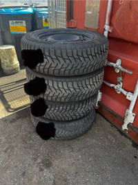 Bronco Sport Winter Tires and RIM’s  225 / 65R17  102T (2022)