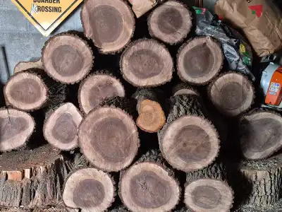 unseasoned walnut firewood, View more