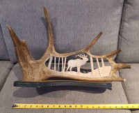 Moose Antler Carving of Bull Elk