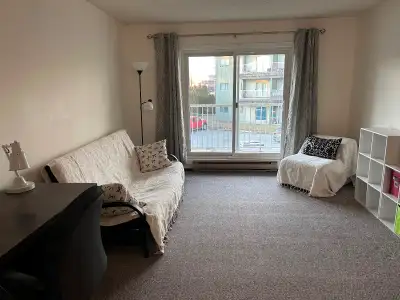 One bedroom apartment for rent (long term) in summit square Optional depending on your needs: 1) unf...