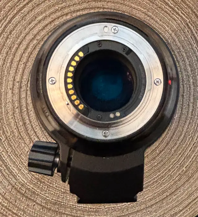 Olympus 300mm f/4 PRO lens62863281121153121