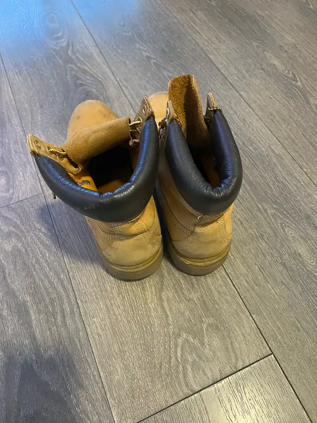 Wheat Timberlands  in Men's Shoes in City of Toronto - Image 3