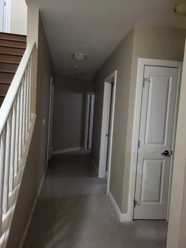 Professional Painter511269286068234243