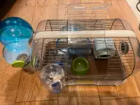 Bébé hamster 21 jour avec cage Livraison possible avec extra