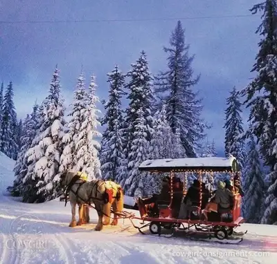 Heavy Duty Horse-Drawn Sleigh w/ Hydraulic Wheels — 12 passenger, View more
