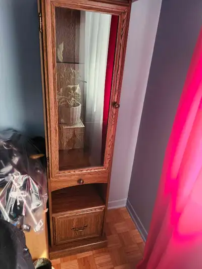 Meuble curio avec éclairage intérieur et armoires pour rangement dans le bas