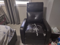 Free recliner sofa