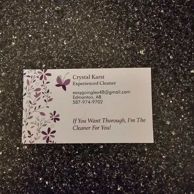 Professional Cleaning Lady64959953086721121