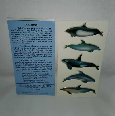 Vintage 1991 DOLPHINS Puffy Stickers, SCRAPBOOKING Arts & Crafts, View more