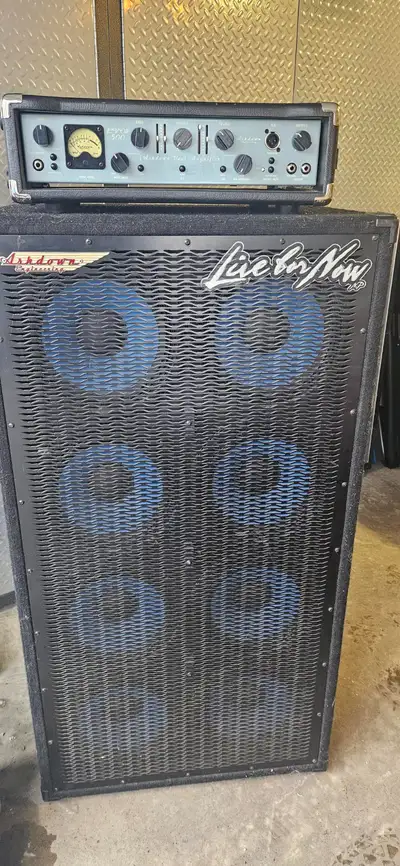 Ashdown 8x10 Bass Cab (MAG810) & ABM EVO II 500 head, View more