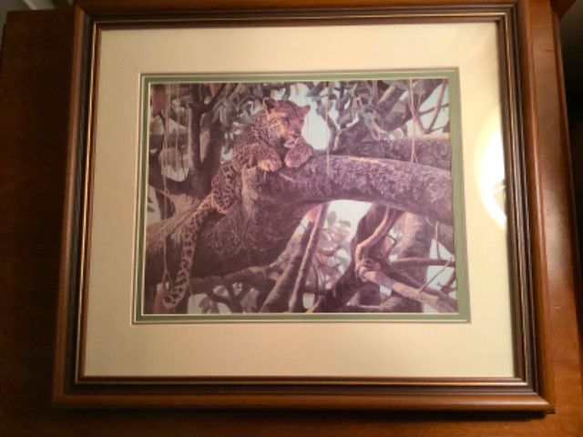 Cdn Robert Bateman’s 1979 Print “Leopard in a Sausage Tree” in Arts & Collectibles in Belleville