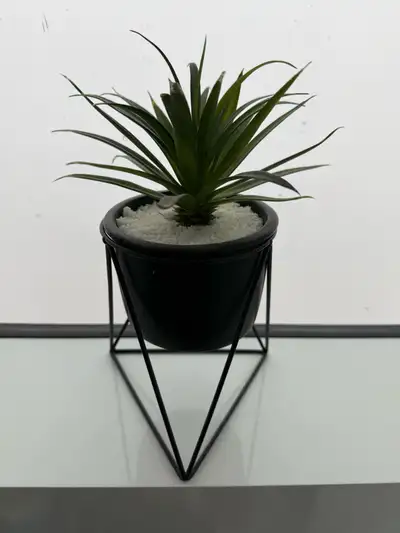 Artificial Plant, View more