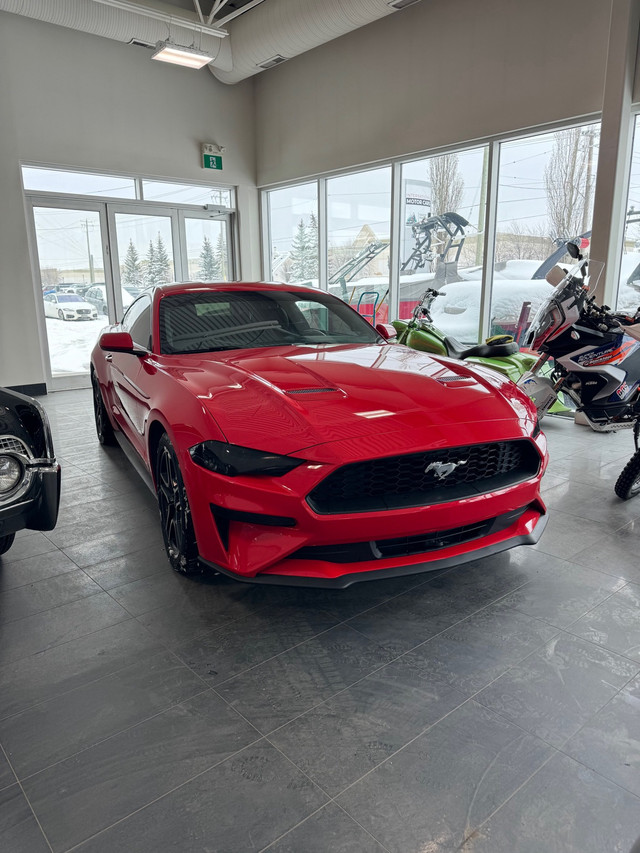 2019 Ford Mustang EcoBoost Fastback in Cars & Trucks in Calgary - Image 2