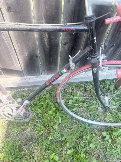 Fiori Modena Road Bike – Project / Tune-Up Needed, View more
