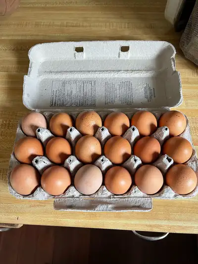 These are fresh free run organic chicken eggs. These chickens are free run, happy and stress-free. T...