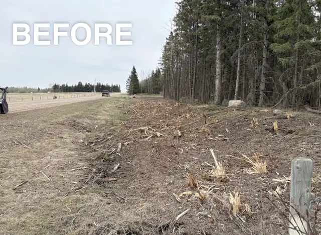 Mulching. Stump removal. Skid Steer services.572866413955000323